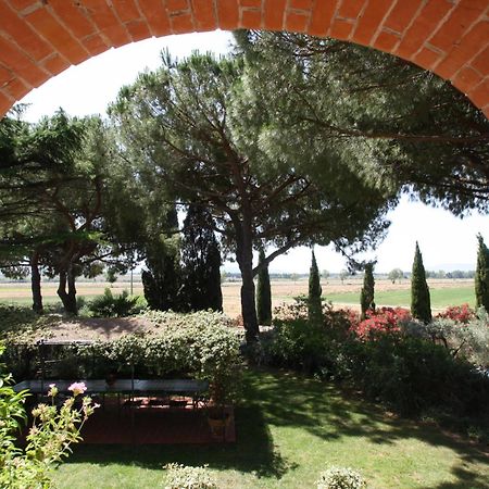 Agriturismo Peretti フォンテブランダ エクステリア 写真