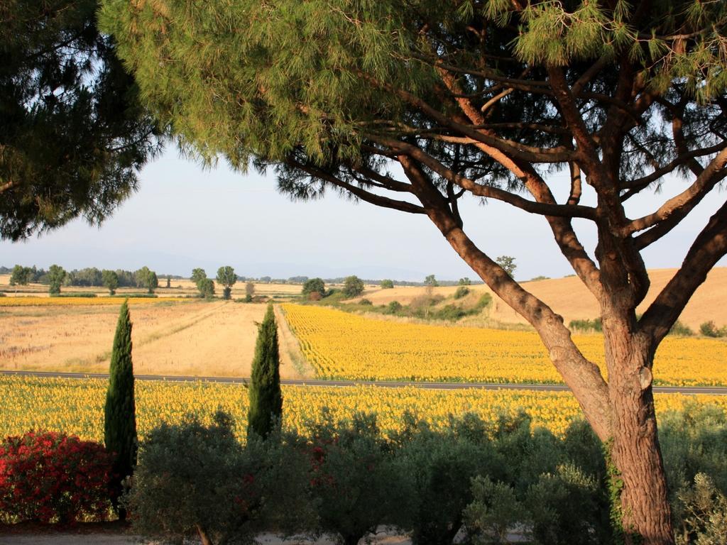 Agriturismo Peretti フォンテブランダ エクステリア 写真