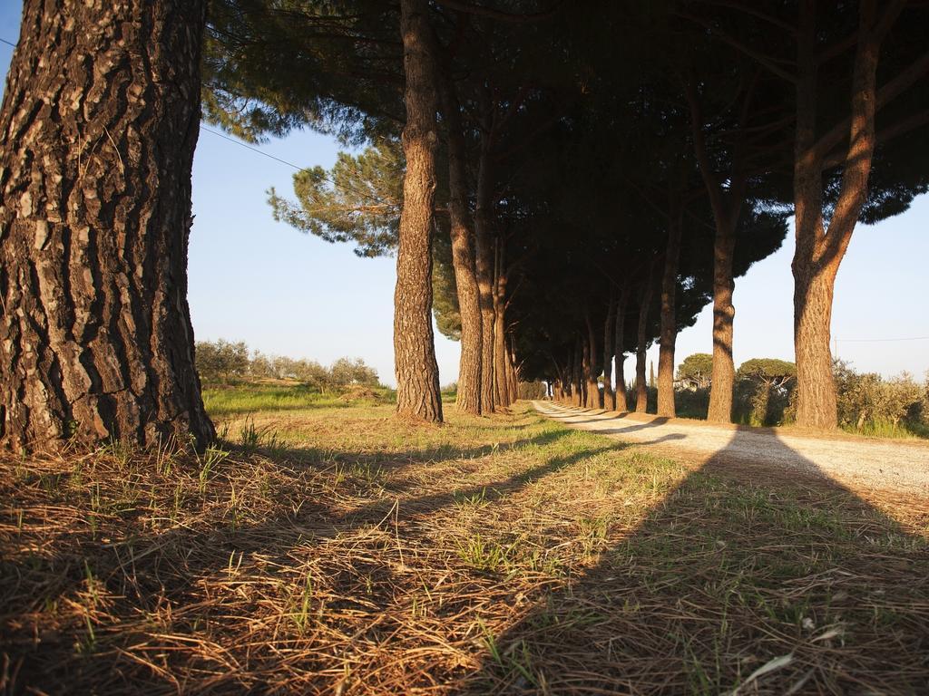 Agriturismo Peretti フォンテブランダ エクステリア 写真